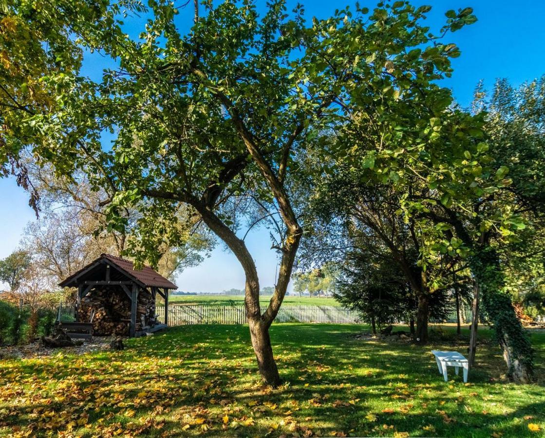 Casa Mia Xix-W Nadmorski Dom Z Ogrodem Cedry Male Kültér fotó